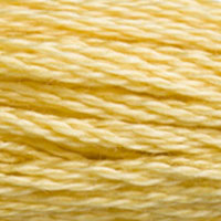 6. DMC 3705 to - 3829 6 Strand Cotton