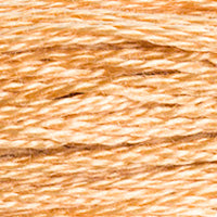 2. DMC 300 to 598 - 6 Strand Cotton
