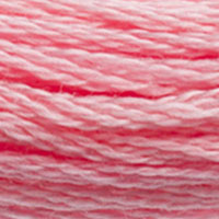6. DMC 3705 to - 3829 6 Strand Cotton