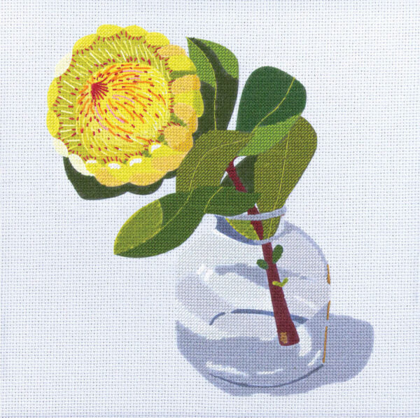 Gallery Collection by Nicola Woodcock - Green Protea