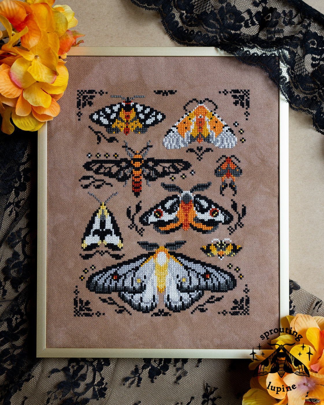 Sprouting Lupine - Ochre Wings