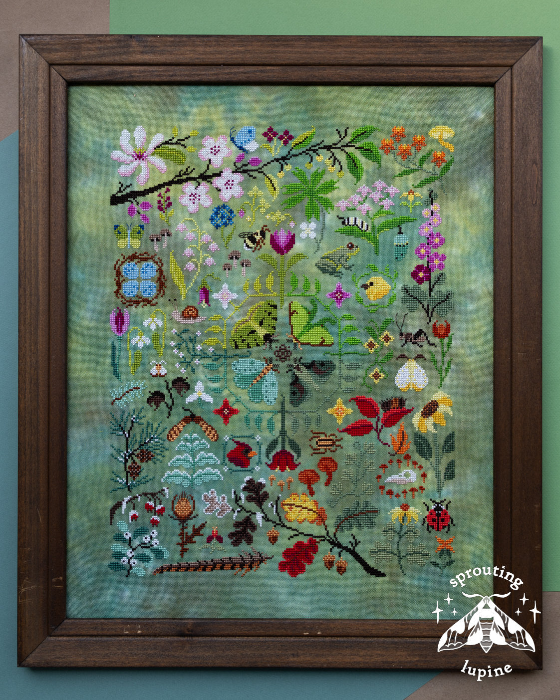 Sprouting Lupine - Nature&