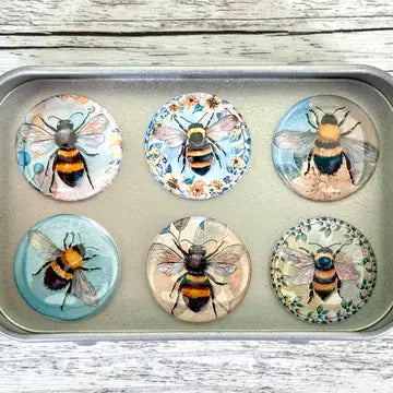 Individual Needle Minder