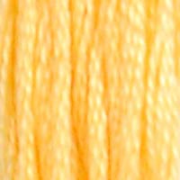 1. DMC Ecru to 225 - 6 Strand Cotton