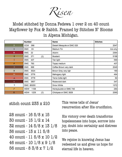 Teresa Kogut - Risen