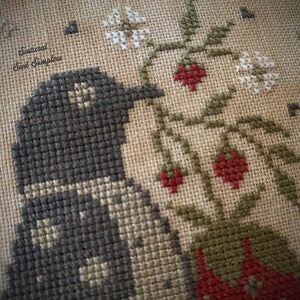 Scattered Seed Samplers - Summer Sweets Pinkeep