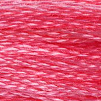 5. DMC 950 to 3689 - 6 Strand Cotton