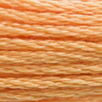 7. DMC 3830 to - 3866 6 Strand Cotton