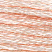4. DMC 800 to 948 - 6 Strand Cotton