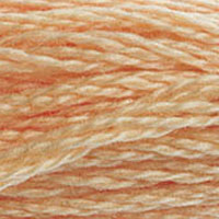 7. DMC 3830 to - 3866 6 Strand Cotton