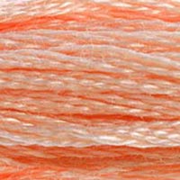 2. DMC 300 to 598 - 6 Strand Cotton