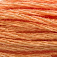 2. DMC 300 to 598 - 6 Strand Cotton