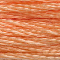 6. DMC 3705 to - 3829 6 Strand Cotton