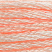 5. DMC 950 to 3689 - 6 Strand Cotton