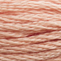 6. DMC 3705 to - 3829 6 Strand Cotton