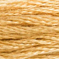 2. DMC 300 to 598 - 6 Strand Cotton