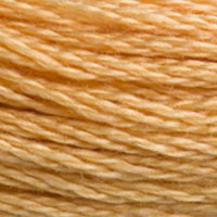 6. DMC 3705 to - 3829 6 Strand Cotton
